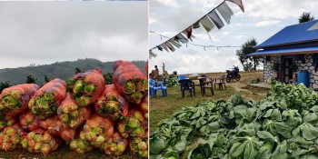 शैलुङका किसानलाई बजारमा तरकारी पठाउने चटारो  (तस्वीरमा)